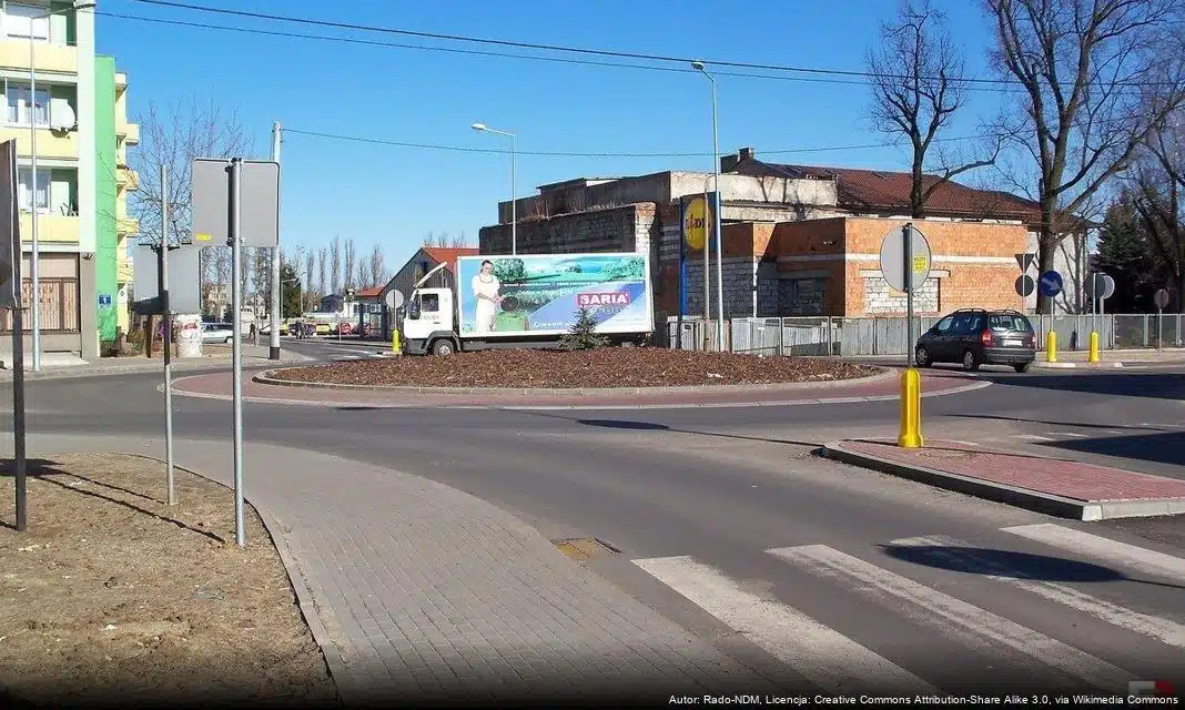 Dofinansowanie programu asystencji osobistej dla osób z niepełnosprawnościami w Nowym Dworze Mazowieckim